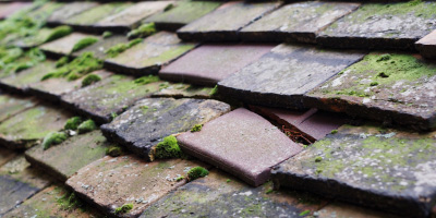 Tips End roof repair costs